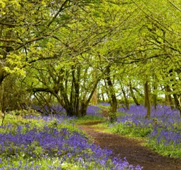 Who is CAN-EMPOWER for?